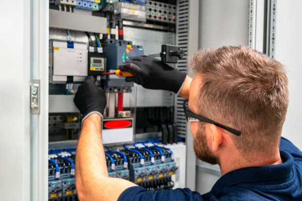 Best Electric Panel Repair  in Oakwood, GA